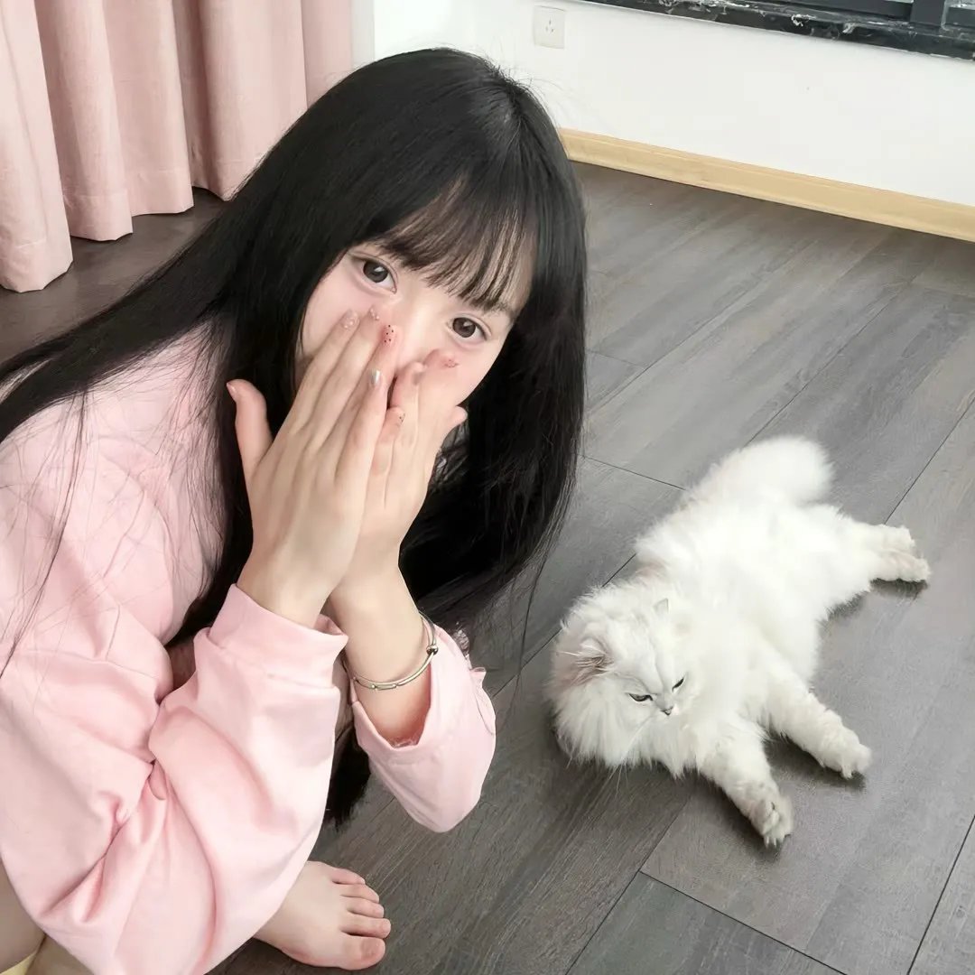 新碧血剑